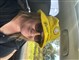 ‘Giant steps’ for Melanoma March🧡